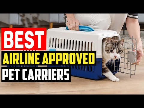 ✅Top 5 Best Airline Approved Pet Carriers in 2023