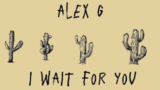 alex g — i wait for you (lyrics)