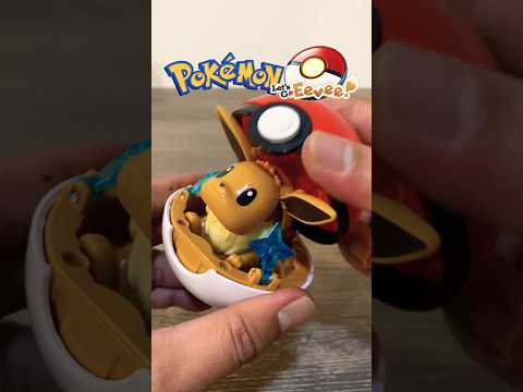 Pokémon Eevee Poké Ball ポケットモンスター イーブイ モンスターボール  寶可夢 伊布 精靈球 神奇寶貝球 #寶可夢 #pokemon #ポケモン