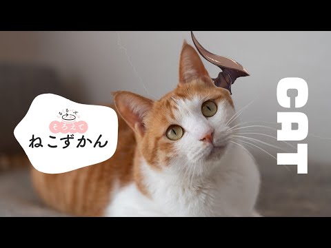 【くるくるパズル そろえてねこずかん】CAT【荒咬オウガ /ホロスターズ】