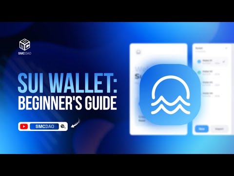 Sui Wallet Beginners Guide