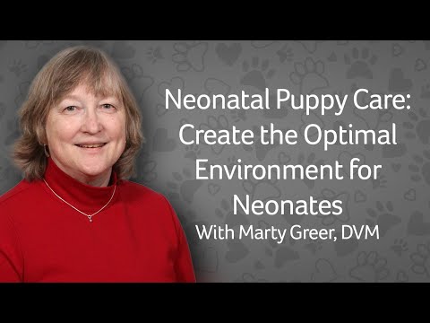 Webinar: Puppywarmer & Newborn Puppy Care