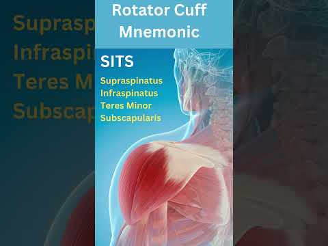 Shoulder Rotator Cuff Muscle Mnemonic | Anatomy & Physiology