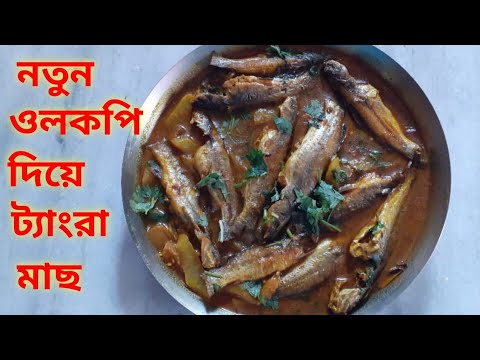 নতুন  ওলকফি দিয়ে টেংরা মাছের রেসিপি।Notun olkophi Tangra Macher Reciepe.