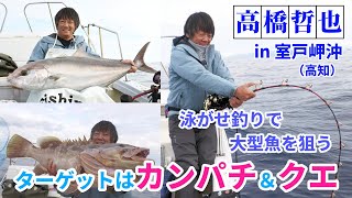 高橋哲也 高知・室戸岬沖の泳がせ釣りで大型魚カンパチやクエを狙う！