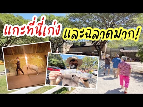 EP.29 แกะฉลาดเป็นยังไง มาดูกัน !! เดอะ ซีนเนอรี่ วินเทจ ฟาร์ม #แกะ #เที่ยว #ราชบุรี