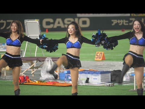 チア2017 IBMビッグブルー BigBlue Cheerleaders BBC