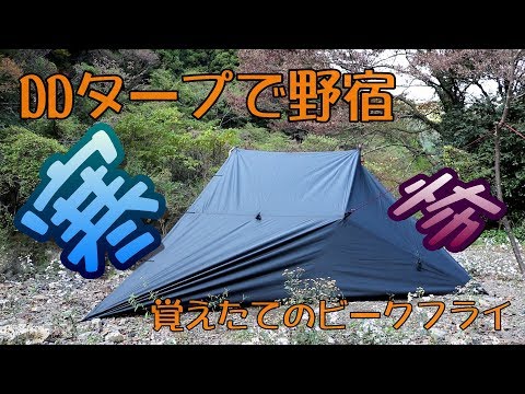 DDタープ　ソロキャンプ　野営