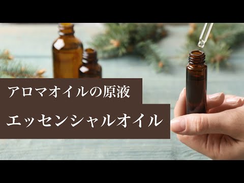 【アロマオイルとの違い】エッセンシャルオイルとは何か？【使い方】【効能】