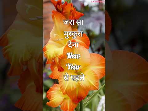 जरा सा मुस्कुरा देना New year से पहले/ New year shayari 2025/ Naye sal ki shayari #newyear2025 #love