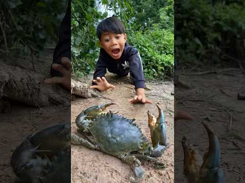 Survival Skills: Big crabs!!! SIMPLE and USEFUL #bushcraft #camping #outdoors