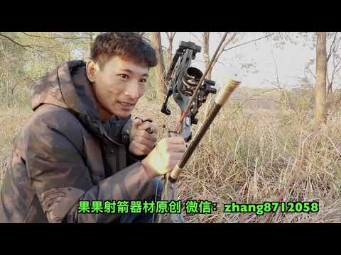 复合弓狩猎火鸡果果射箭器材Bear Kuma 30 Hunting Turkey