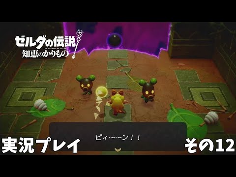 【ゼルダの伝説 知恵のかりもの】　実況プレイ その１２