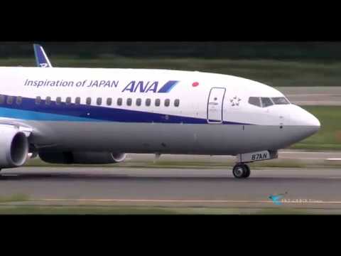 " Plane Spotting at New Chitose Airport " All Nippon Airways(ANA) Boeing737-800 JA87AN