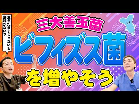 【年齢とともに減る‼︎︎】三大善玉菌の増やし方〜ビフィズス菌　生きたままじゃないと意味ない⁉︎整腸作用を上げるには？　【対談企画】教えて平島先生秋山先生No447