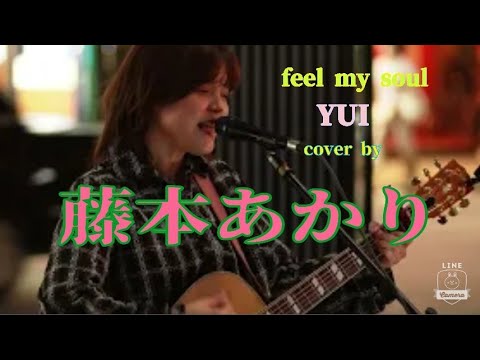 【歌舞伎町路上ライブ】feel my soul /YUI cover by 藤本あかり