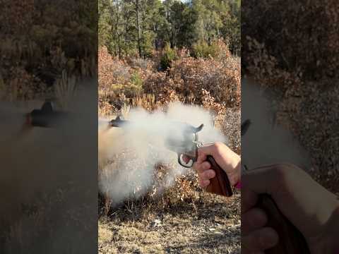 1873 Colt SAA (45 Colt blackpowder)