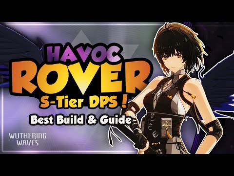 COMPLETE Havoc Rover Guide | Best Build, Weapons, Echoes & Teams | Wuthering Waves