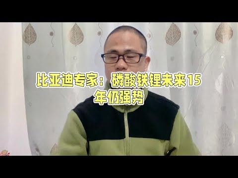 比亚迪专家：磷酸铁锂未来15年仍是车市主流，凭什么？