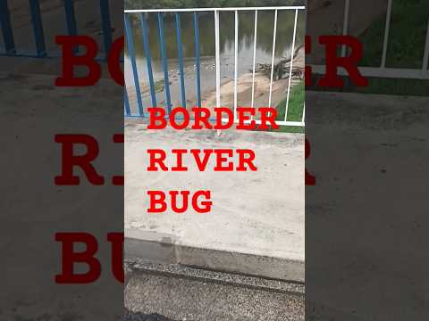 Border River Bug Part 2 #travelvlog #border #poland #belarus #europe #bug #river