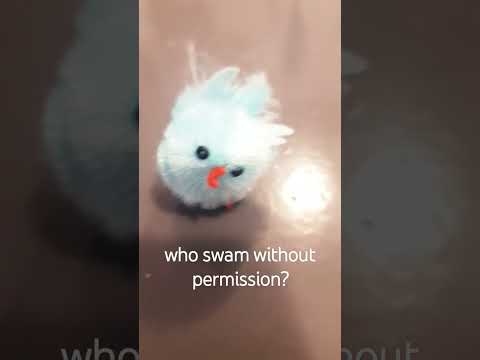 who swam without permission? || old trend #memes #funny #easter #chicken #funny #shorts