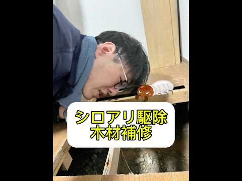 シロアリ駆除と喰われた木材補修