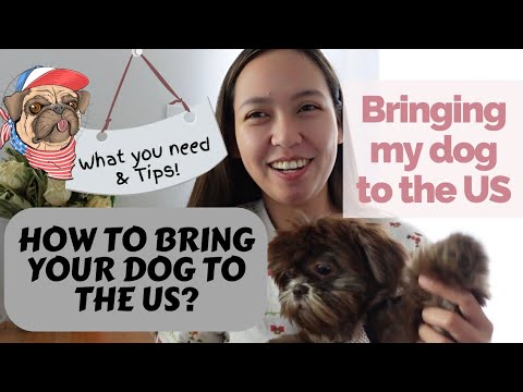 HOW TO BRING YOUR DOG TO THE US | CDC dog requirements | Bringing my Dog to the US from Philippines