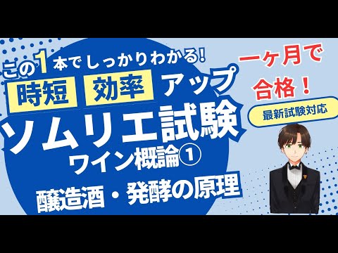 【語呂ワイン/ソムリエ・ワインエキスパート試験】ワイン概論①（醸造酒と蒸留酒/ワイン法）