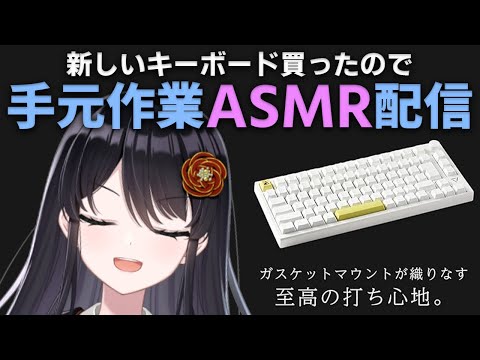 【#作業配信 #手元配信】気持ちのいいキーボードを新調したので、みんなと作業したい！【#リアン・アニマリア・椿  #雑談 】