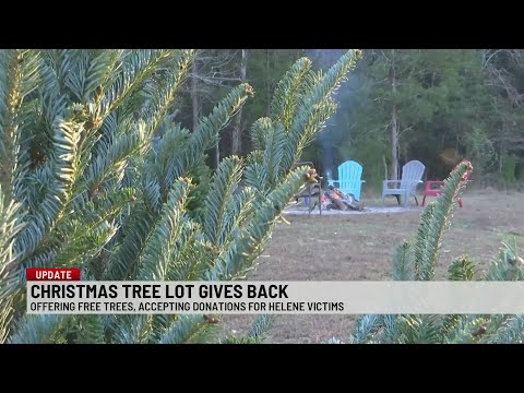 Free Christmas trees offered to people affected by Hurricane Helene