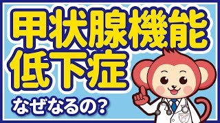 甲状腺機能低下症って何？なぜなるの？現役医師監修