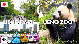 Ueno Park & Zoo in Tokyo 2023 (Full Tour) | Japan Travel Vlog 🇯🇵| 4K Japan Walk