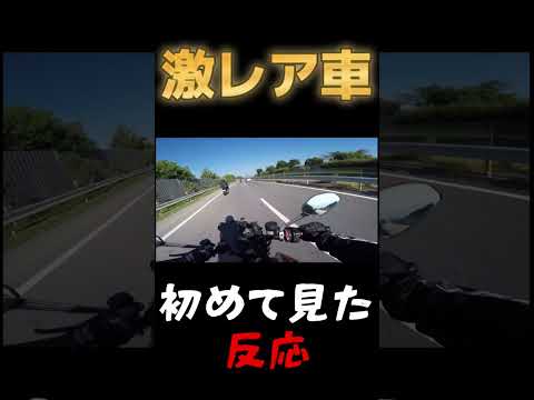 ヤバいの見つけたらこうなる　#motovlog #モトブログ #バイク #shorts