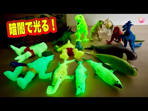 Glow in the dark! Learn and have fun with DeAgostini's dinosaurs and sea creatures all at once!