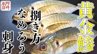 【極上】瀬つき黄金アジ捌き方