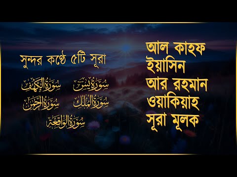 সব চেয়ে সুন্দর তিলাওয়াত - সূরা মূলক | রহমান | ওয়াকিয়াহ | ইয়াসিন | আল কাহফ | By Muhammad Hizaji