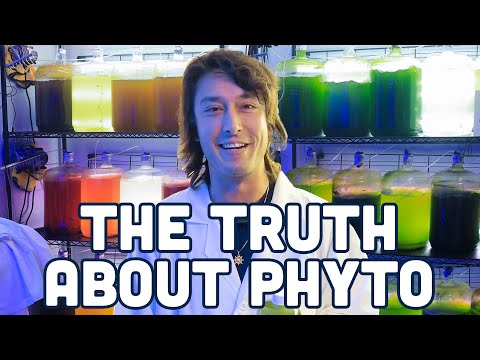 The Truth about Phytoplankton!