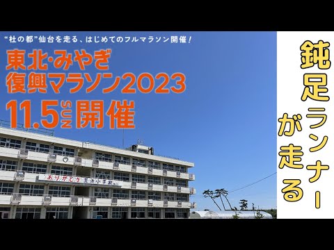 【東北・みやぎ復興マラソン2023】鈍足ランナー完走めざし愛媛から行く！11000分の1の感謝と感動のドキュメンタリー【仙台市・名取市・岩沼市+松山市少し】