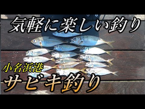 【サビキ釣り】いろんな魚を狙えるサビキ釣り！福島県の小名浜港で簡単楽しいサビキ釣り！