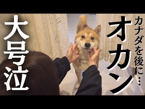 【号泣】母のカナダ珍道中、ついに終盤です。