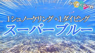 【バリ島シュノーケリング＋ダイビング】いきなりこの蒼さ！この透明度！ウミガメだってフィーバーさ！バリ島の海はもう最高～ヾ(≧▽≦)ﾉ @jellyfishbali