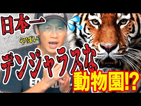 【ノースサファリサッポロ】北海道の動物園を貸し切ると何ができる⁉️