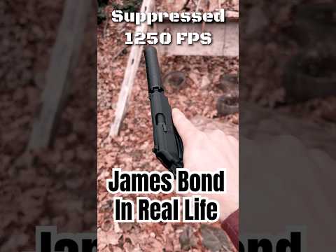 Supersonic VS Subsonic 22LR With Anechoic 22 Suppressor #shorts