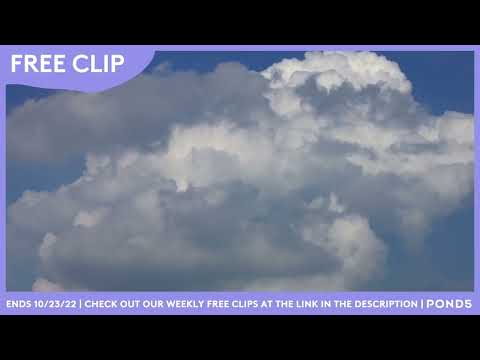 Free Clip - Stormy Weather