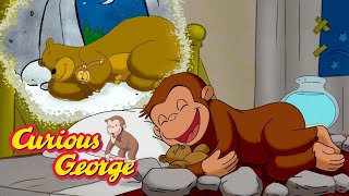 George The Hibernating Monkey! 🐵 Curious George 🐵 Kids Cartoon 🐵 Kids Movies