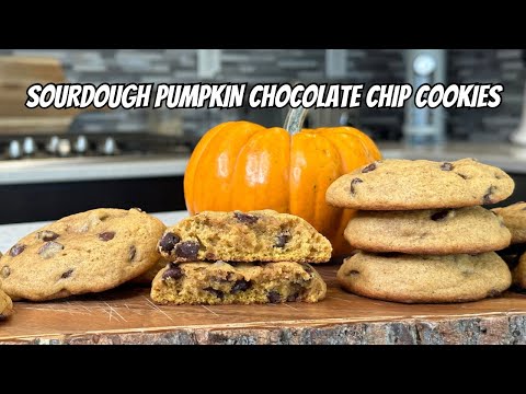 Sourdough Pumpkin Chocolate Chip Cookies