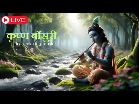 🔴Live : Krishna Flute Music|| (बाँसुरी) Relaxing Music , Healing , Meditation & Stress Relif