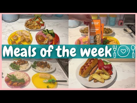 MEALS OF THE WEEK | 5 EASY FAMILY DINNERS UK