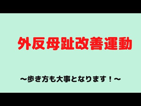 仙台　外反母趾　中敷　インソール　靴　改善運動