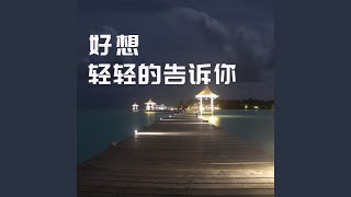 好想轻轻的告诉你 (DJ版)